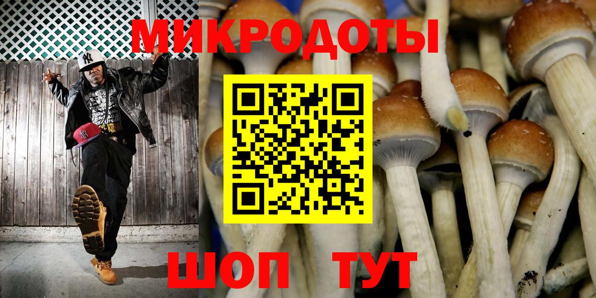 Каменск-Шахтинский  Псилоцибиновые грибы Magic Shrooms  Вход с VPN  Галлюциногенные грибы Magic Shrooms 