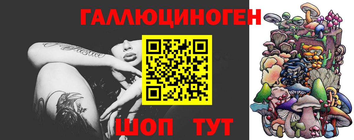 Галлюциногенные грибы Cubensis Каменск-Шахтинский